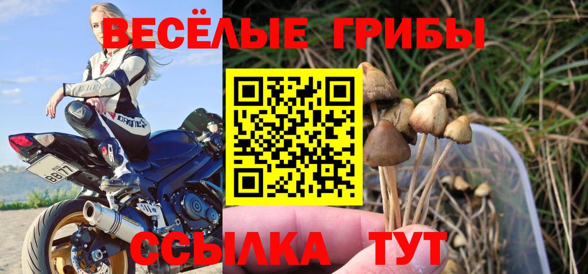 Галлюциногенные грибы прущие грибы  Вход с VPN  где купить наркоту  Волгодонск 